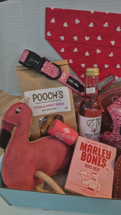 Dog Valentines Box