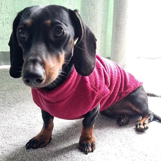 Mulberry Daschund Fleece (Pawsome Suits) My Store