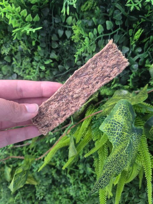 Wild Boar Strip Nova Chew