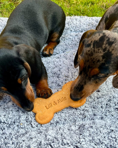Lili + Mila’s Empawrium Peanut Butter Bone (Biscuit)