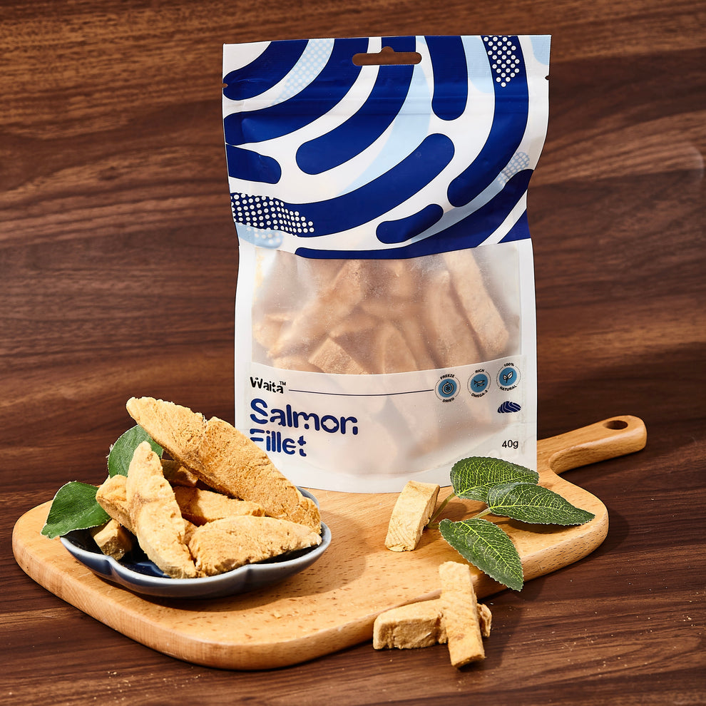 Waita Freeze Dried Salmon Fillet 40g