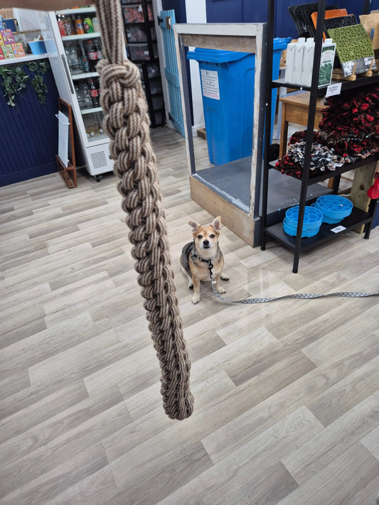 Rope Retriever Lili + Mila's Empawrium