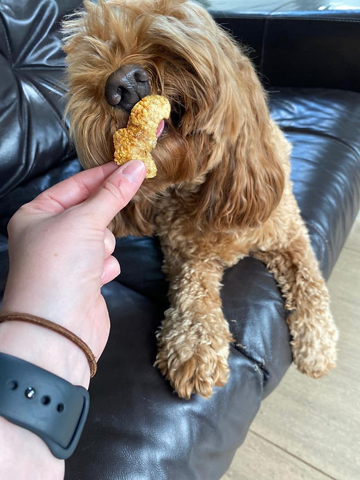Doink Pork Scratchings for Dogs