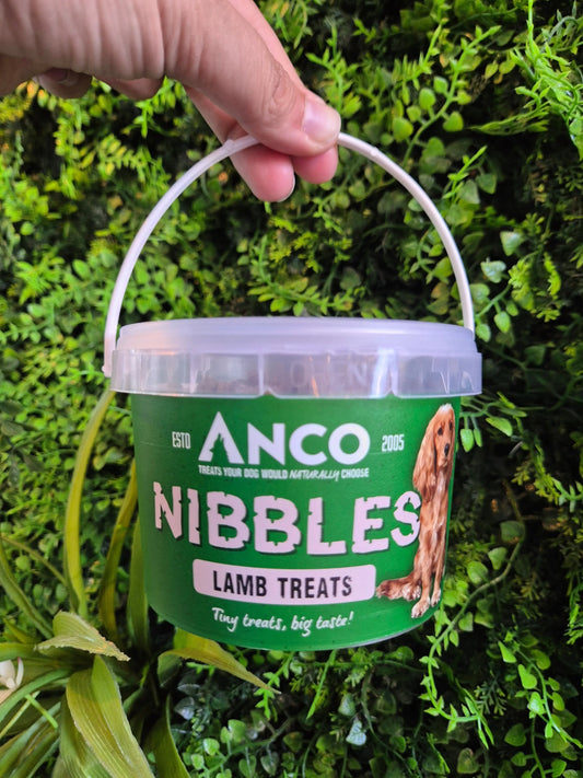 Lamb Nibbles