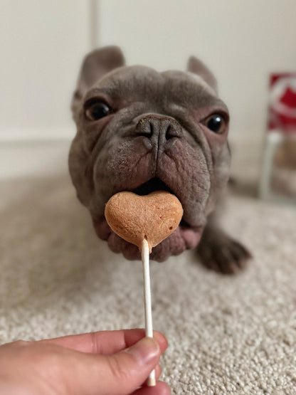 Waita Freeze Dried Chicken Lollipop