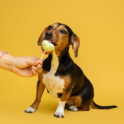 Waita Freeze Dried Chicken Lollipop