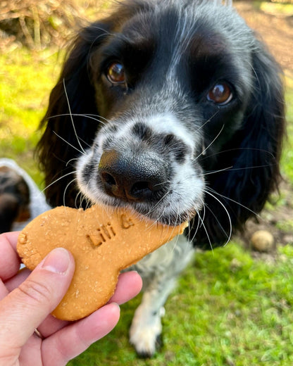 Lili + Mila’s Empawrium Peanut Butter Bone (Biscuit)