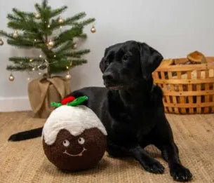 Colin Christmas Pudding Lili + Mila's Empawrium