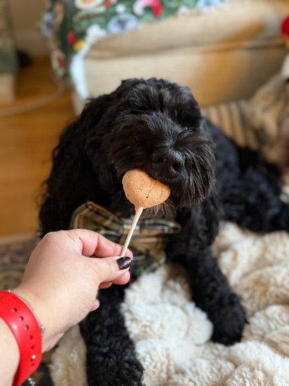 Waita Freeze Dried Chicken Lollipop