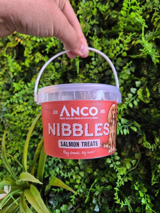 Salmon Nibbles
