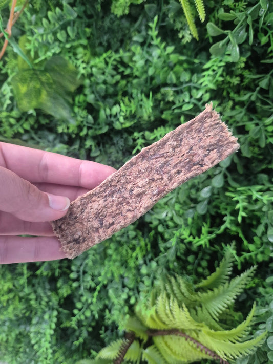 Lamb Strip Nova Chew