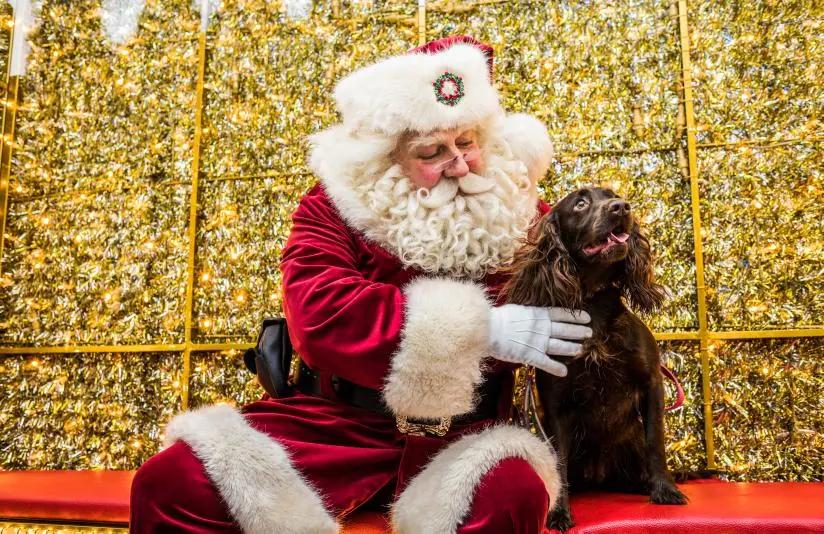 Meet Santa Paws (+ Gift) at Lili  & Mila's Empawrium Event