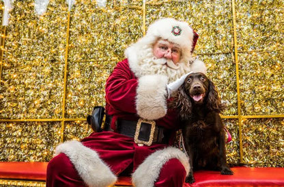 Meet Santa Paws (+ Gift) at Lili  & Mila's Empawrium Event